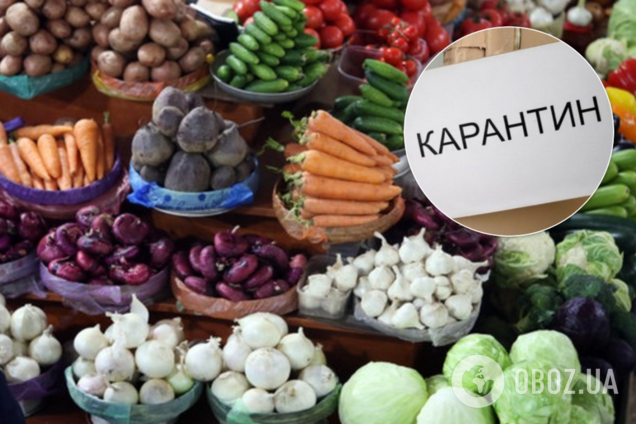 Все сгнило на грядках: украинцы не увидят летом дешевых продуктов из-за карантина