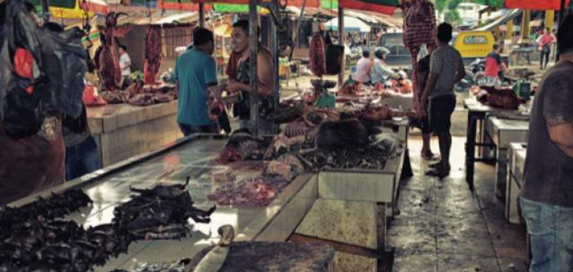 В Ухані відкрили ринок із кажанами, від яких пішов коронавірус