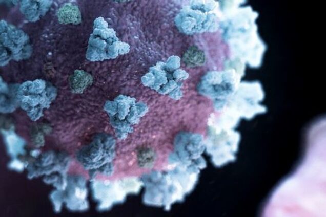 Ученые предсказали вспышки коронавируса новых типов