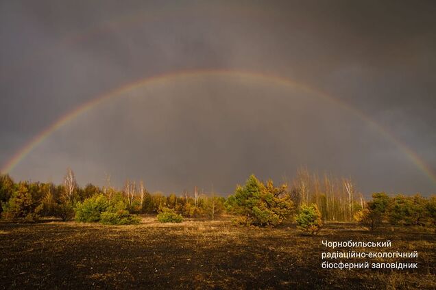 Веселка над обпаленою вогнем Чорнобильською зоною відчуження