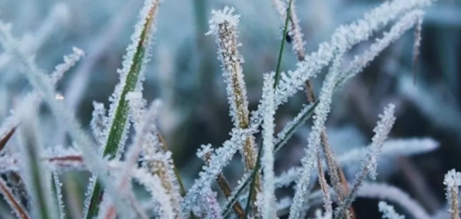 В Україні сильно похолодає: вдарять заморозки