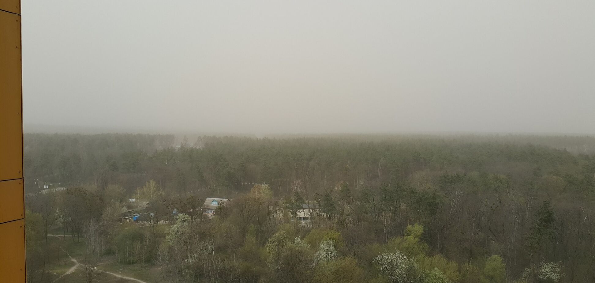 Пылевая буря в Киеве ударит по урожаю: власти рассказали о последствиях