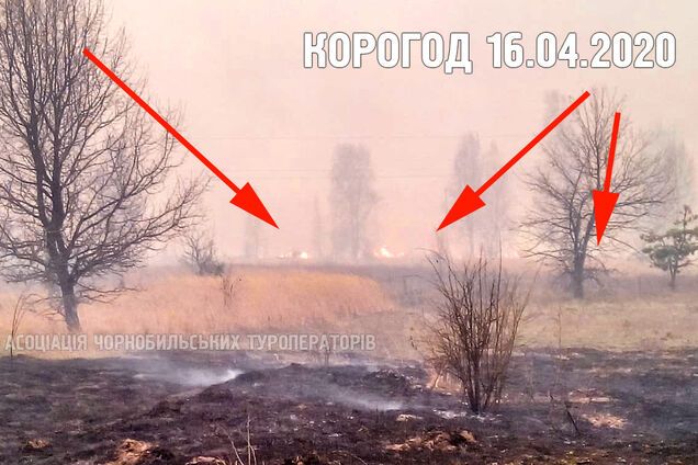 У Чорнобильській зоні знову спалахнула пожежа