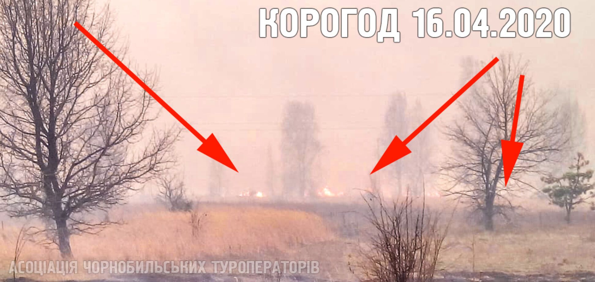 В Чернобыльской зоне опять вспыхнул пожар