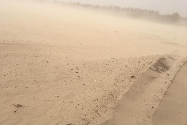 В Украине после песчаной бури появилась своя 'Сахара'. Яркие фото