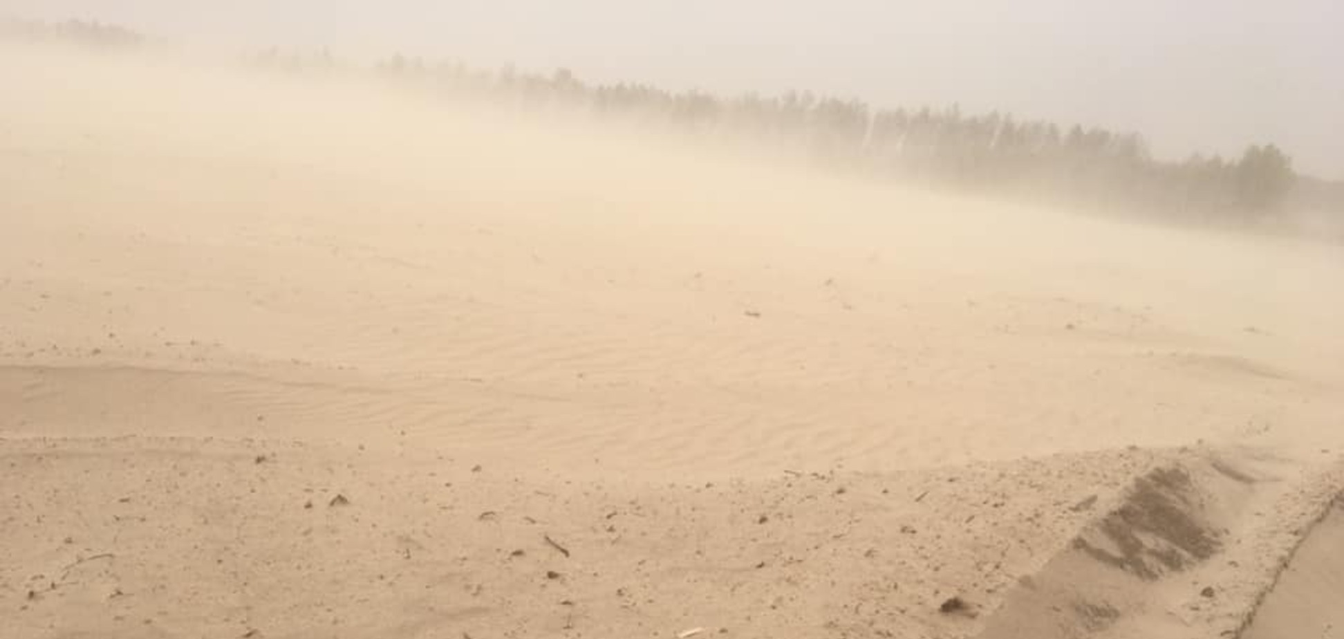 В Украине после песчаной бури появилась своя 'Сахара'. Яркие фото