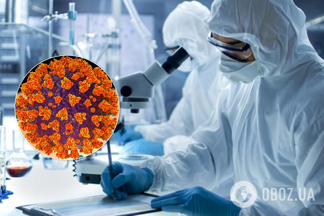 Зловлять на живця: вчені знайшли, як зупинити коронавірус у тілі людини