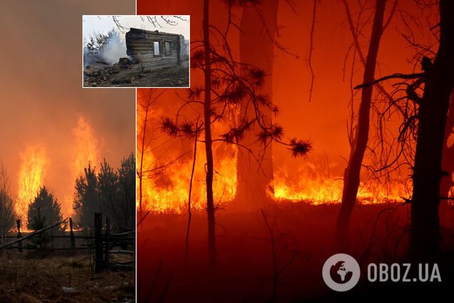На Житомирщине вспыхнул масштабный пожар. Жуткие фото и видео