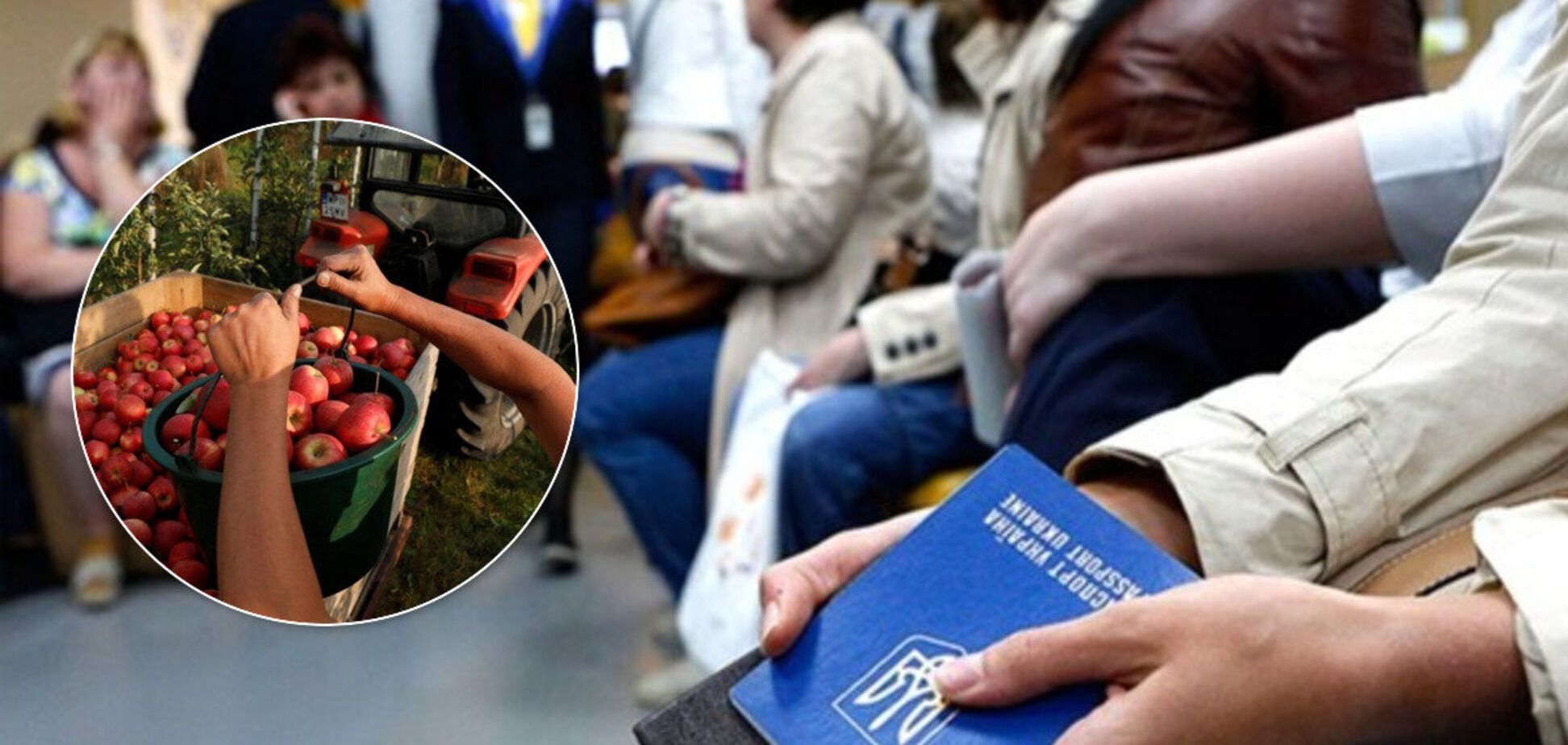 ЄС повертає на роботу українців: хто потрібен і які є ризики під час пандемії