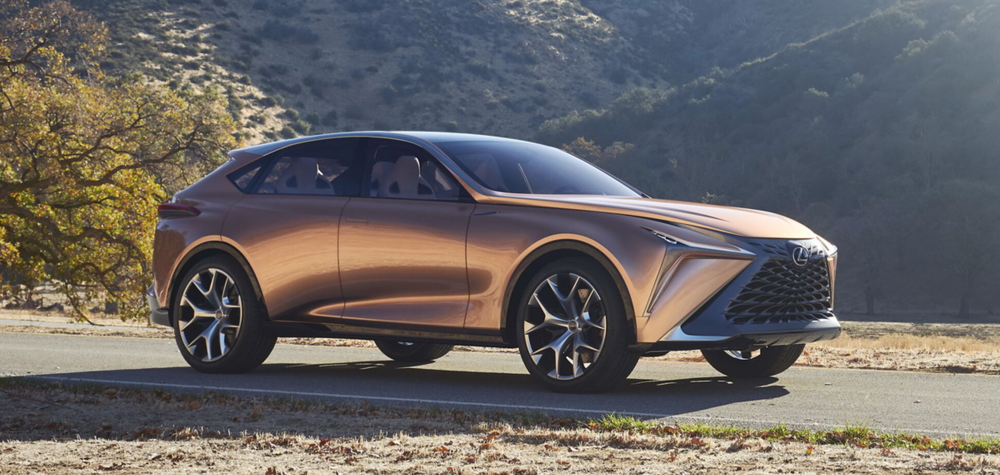 Lexus LF-1 Limitless Concept