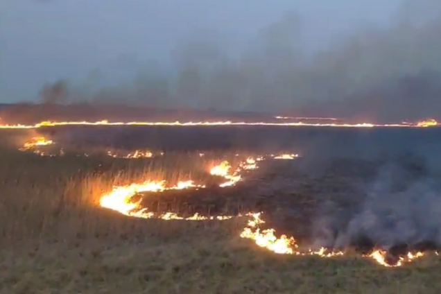 На Полтавщине разгорелся масштабный пожар в поле. Видео с места ЧП