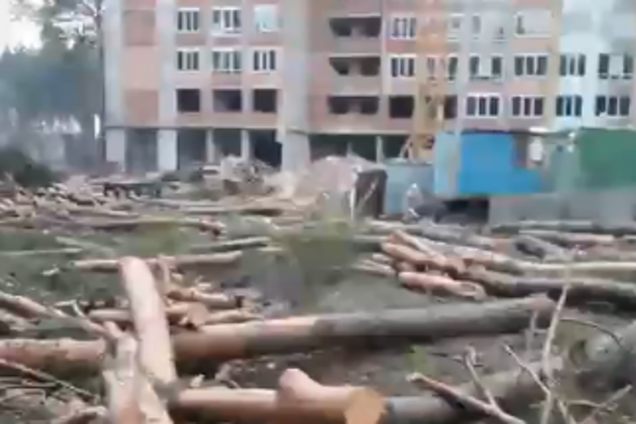 В Ірпені забудовник повалив ліс у зеленій зоні: активісти 'помстилися'. Відео