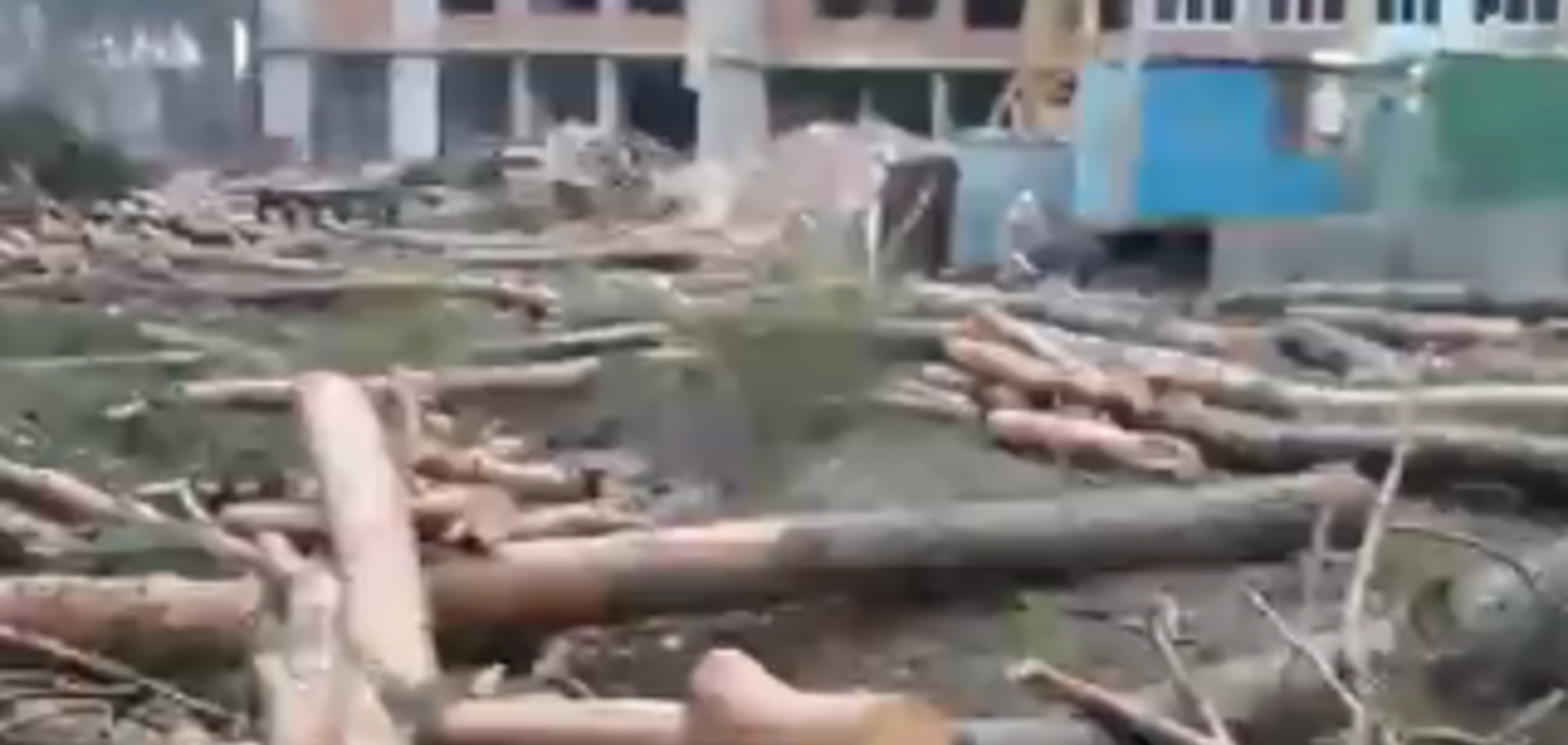 В Ирпене застройщик повалил лес в зеленой зоне: активисты 'отомстили'. Видео