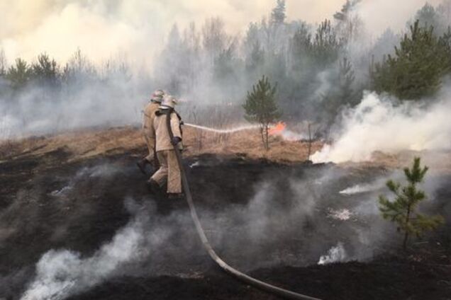 Диверсия: в МВД назвали одну из возможных причин пожаров на Киевщине