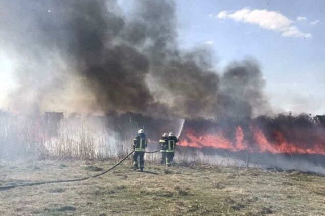 Поліція розшукує винуватців пожеж у Київській області