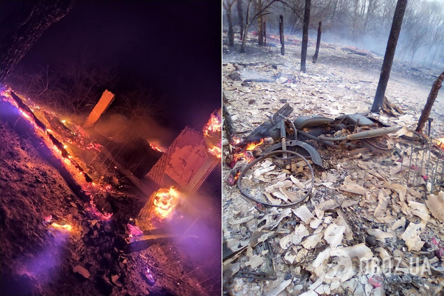 Ліси на Житомирщині горять через видобуток бурштину – Тишкевич