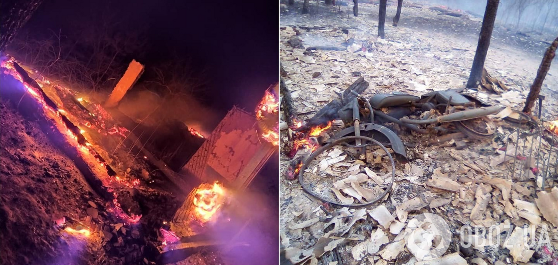 Ліси на Житомирщині горять через видобуток бурштину – Тишкевич