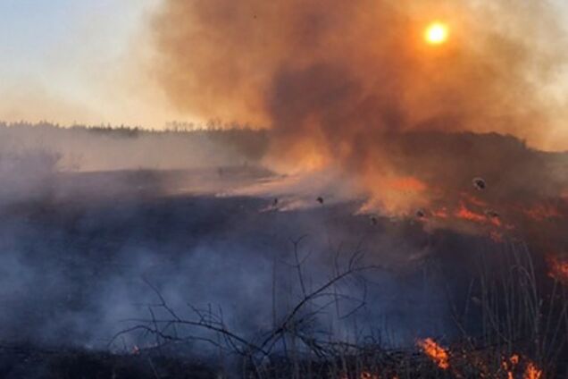 Стало відомо, коли очікується пік масштабних пожеж у Київській області