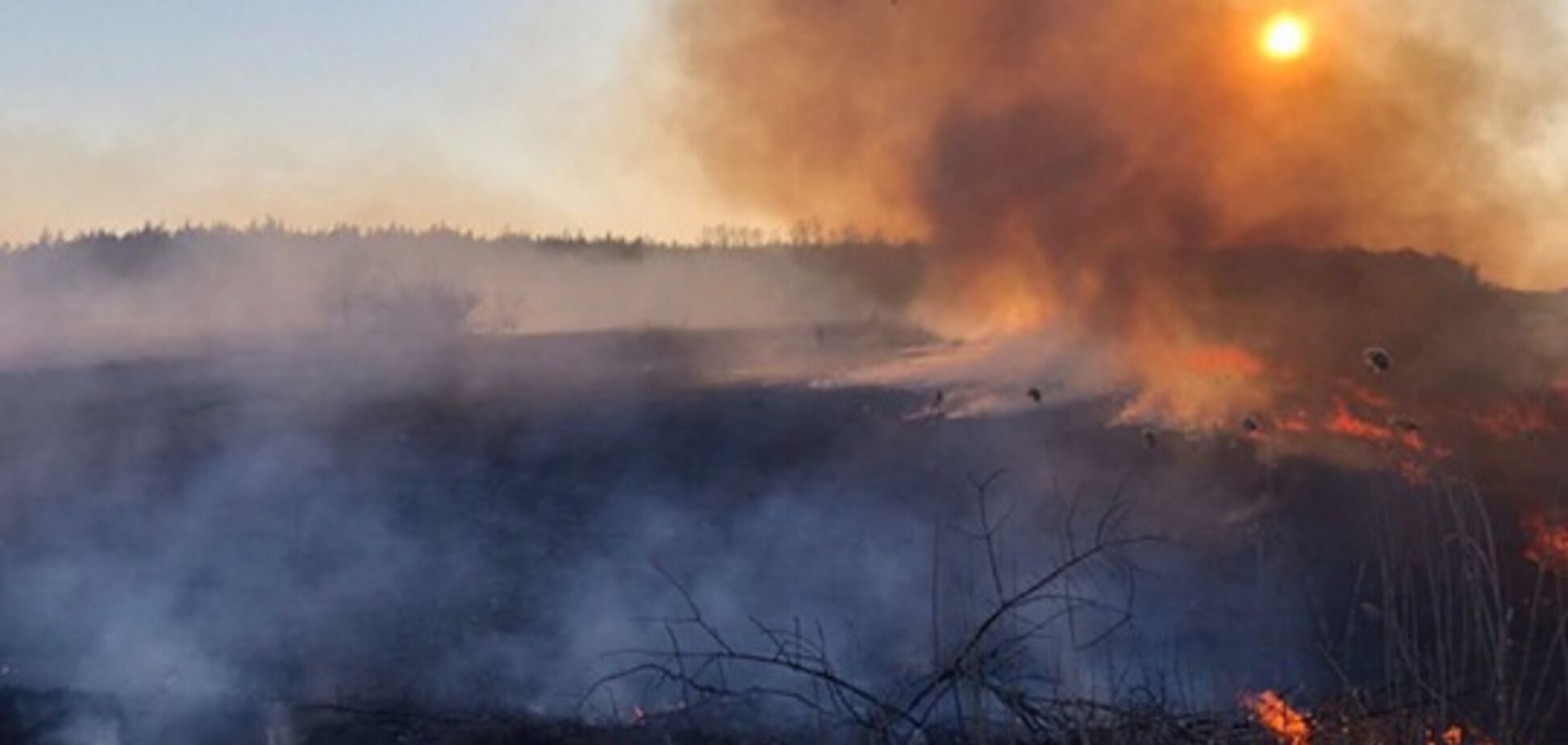 Стало известно, когда ожидается пик масштабных пожаров в Киевской области