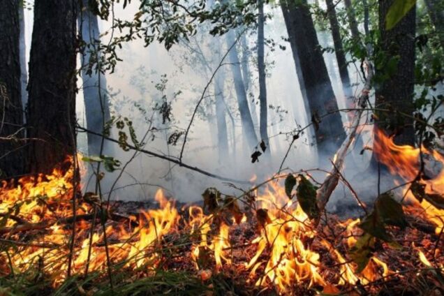 На Дніпропетровщині рятувальники оголосили високу пожежну небезпеку