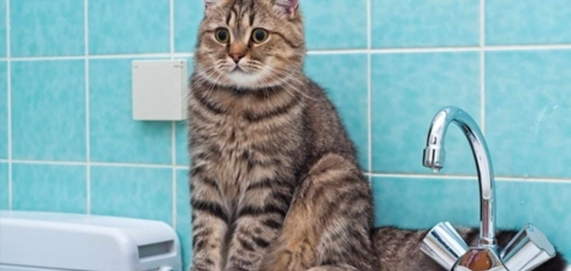 Жителі Дніпра залишилися без води: названі адреси