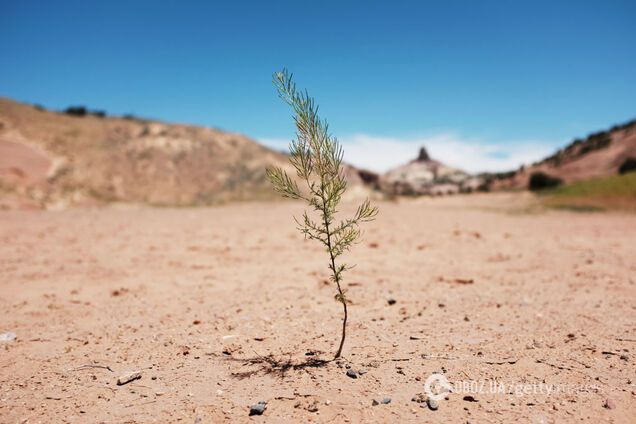 Через 10 років в Україні може трапитися катастрофа, під загрозою виживання – кліматолог