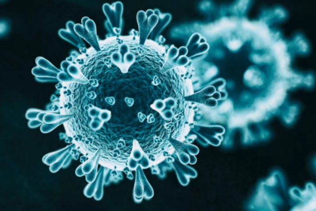 Учений назвав спосіб уникнути нових хвиль коронавірусу і хантавірусу