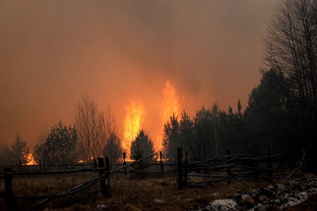 Такого не было 24 года: появились подробности о масштабнейших пожарах на Житомирщине