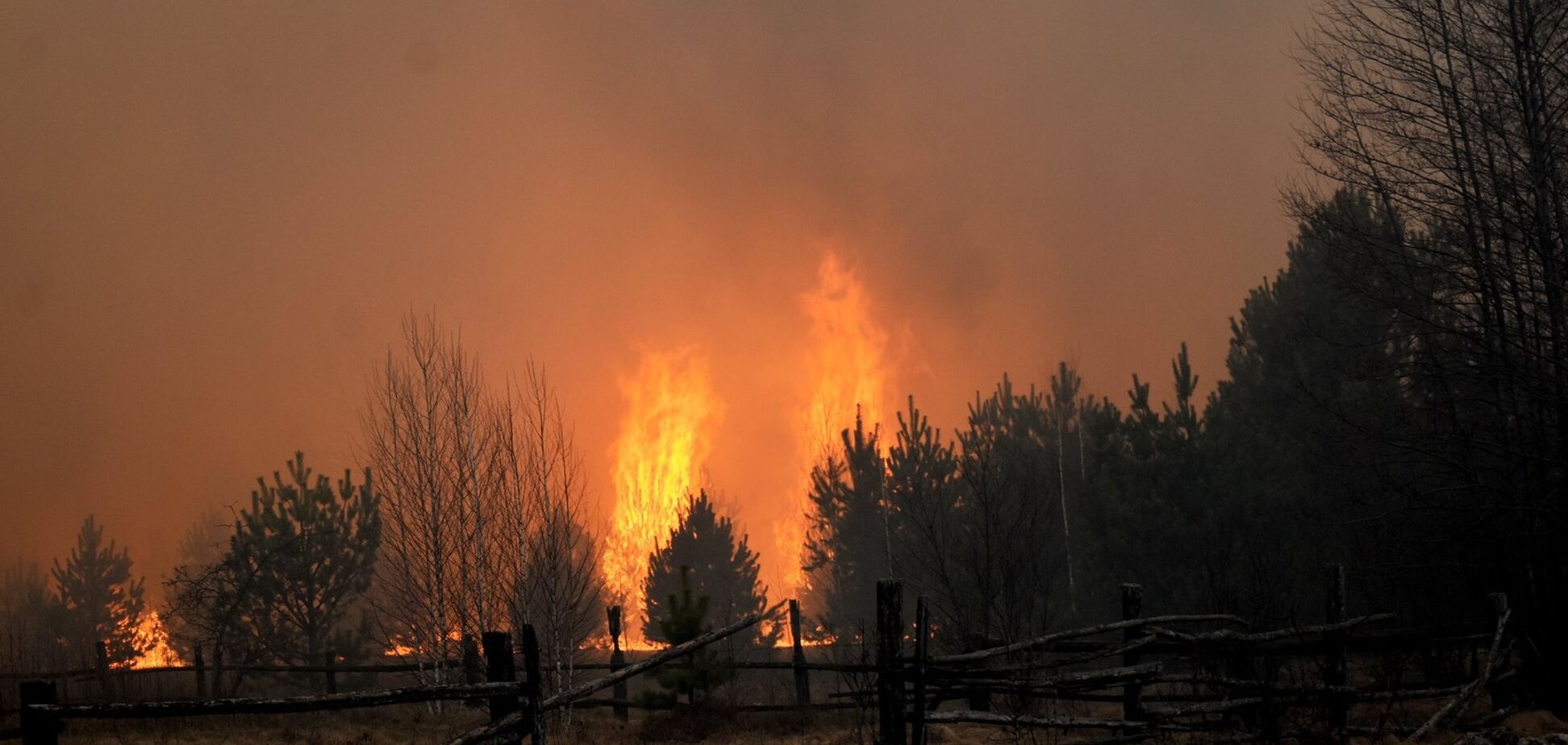 Такого не було 24 роки: з'явилися подробиці про наймасштабніші пожежі на Житомирщині