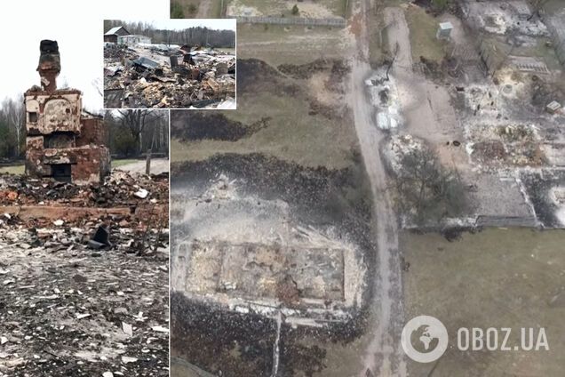 Журналіст показав жахливі наслідки масштабних пожеж на Житомирщині. Відео