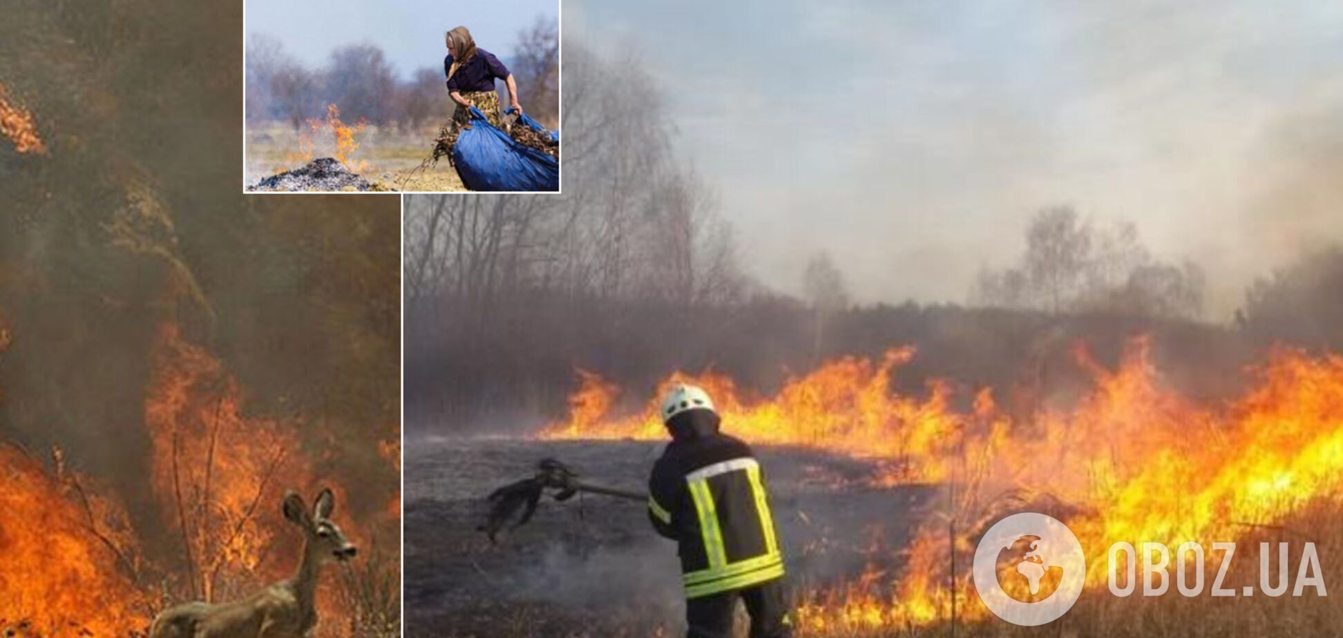 Лучше для почвы и безвредно? Эксперты разбили главные мифы о сжигании сухой травы