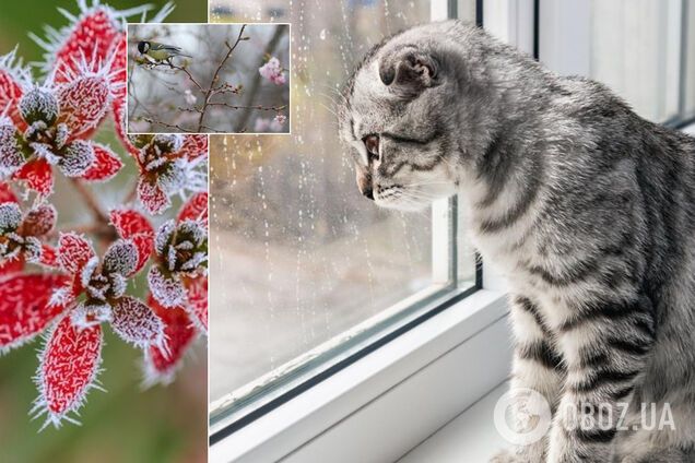 В Украину вернутся морозы и пойдут дожди: синоптик уточнила прогноз на вторник