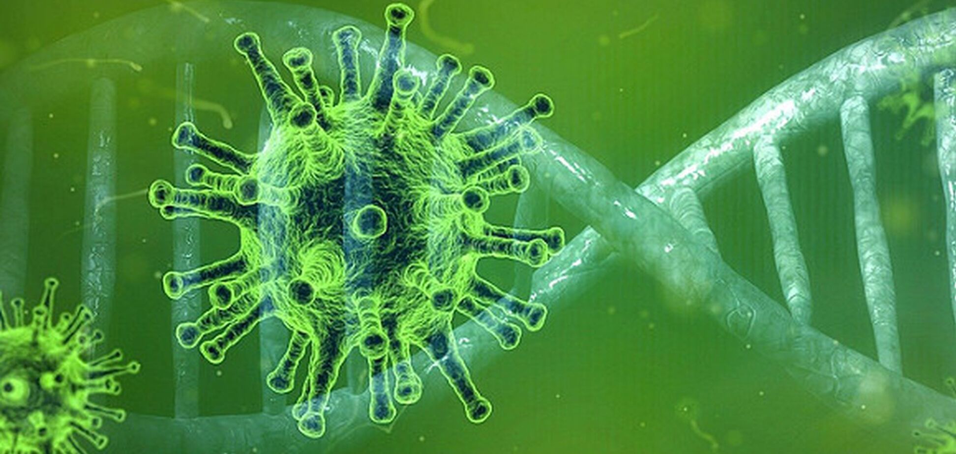 Как не заразиться коронавирусом: реальные советы
