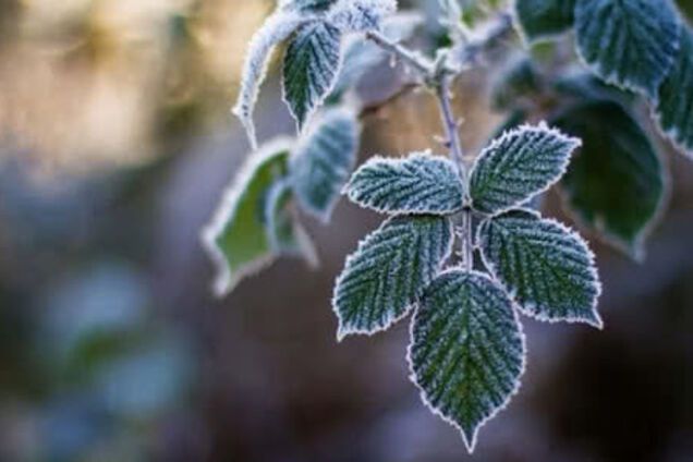 До -2! Синоптики уточнили прогноз погоды в Днепре