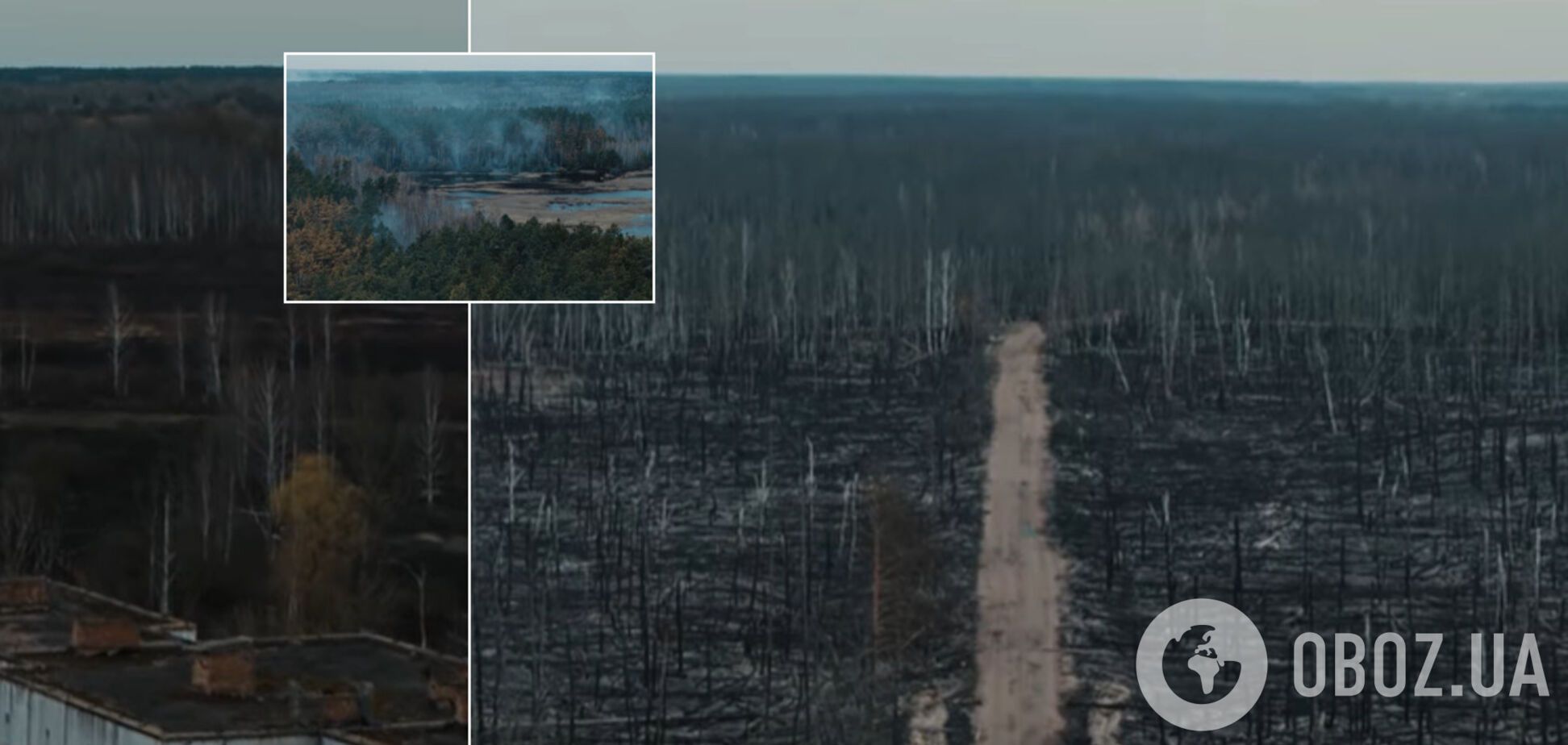 Украинский режиссер снял с дрона жуткие последствия пожаров в Чернобыле