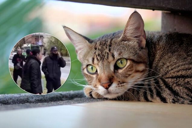 В Харькове женщина убила кошку и пошла с ней гулять. Видео