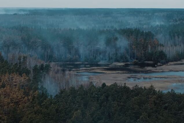 У мережі показали Чорнобиль після пожежі. Жахливе відео