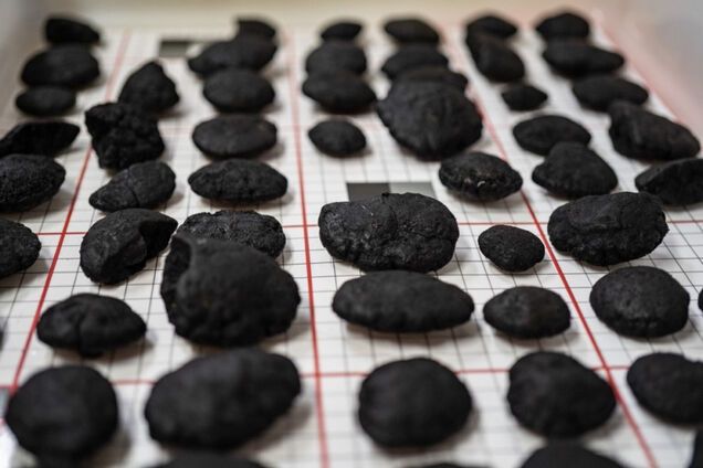 Материалы для электромобилей решили добывать со дна океана