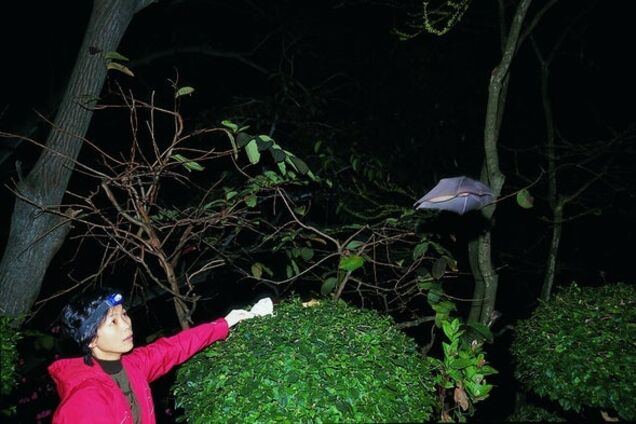 Китайская ученая, вирусолог Ши Чжэнли