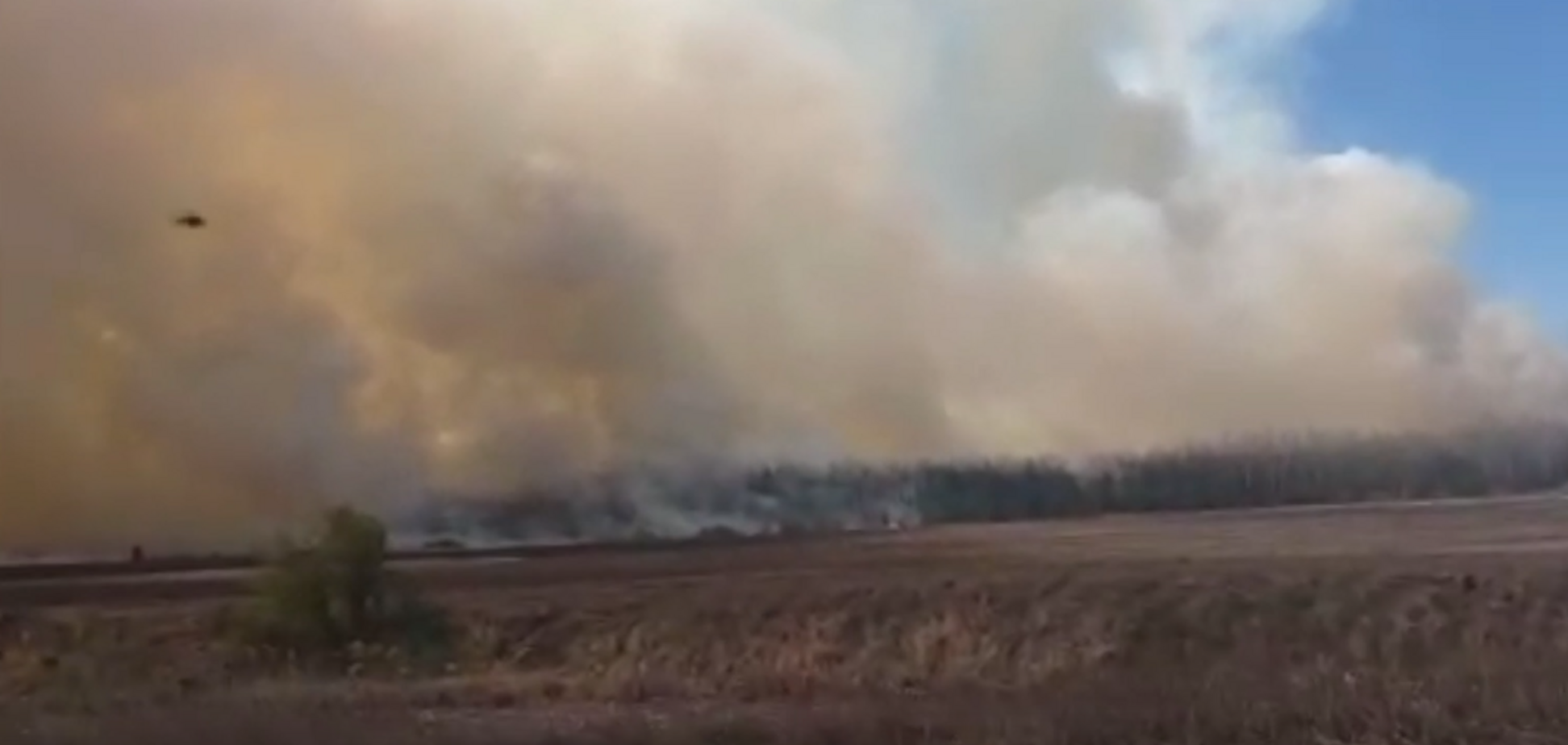 Под Киевом вспыхнул масштабный лесной пожар