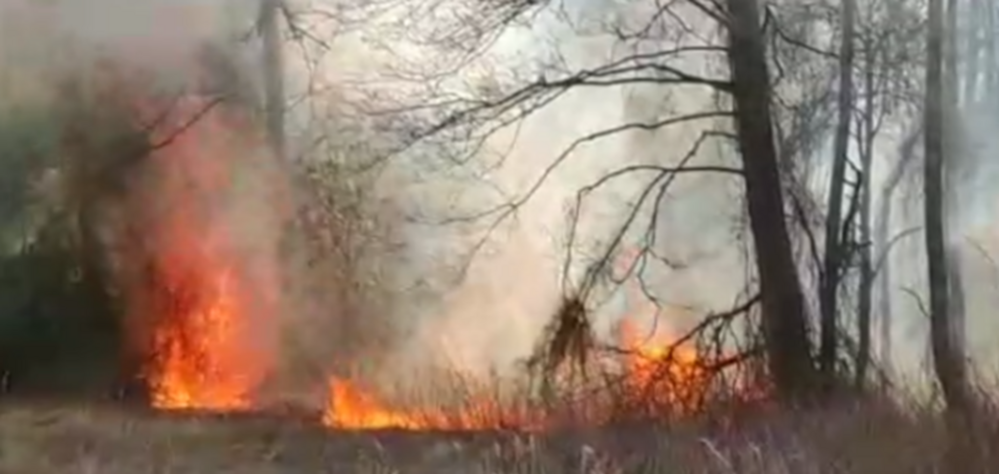 На Київщині спалахнула ще одна серйозна пожежа