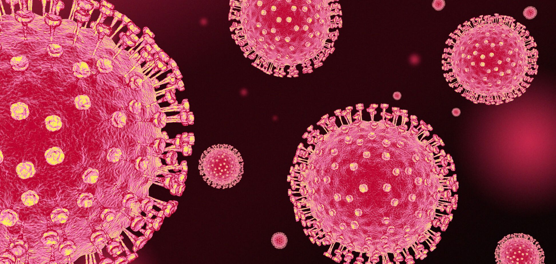 Названо новий осередок коронавірусу в тілі людини
