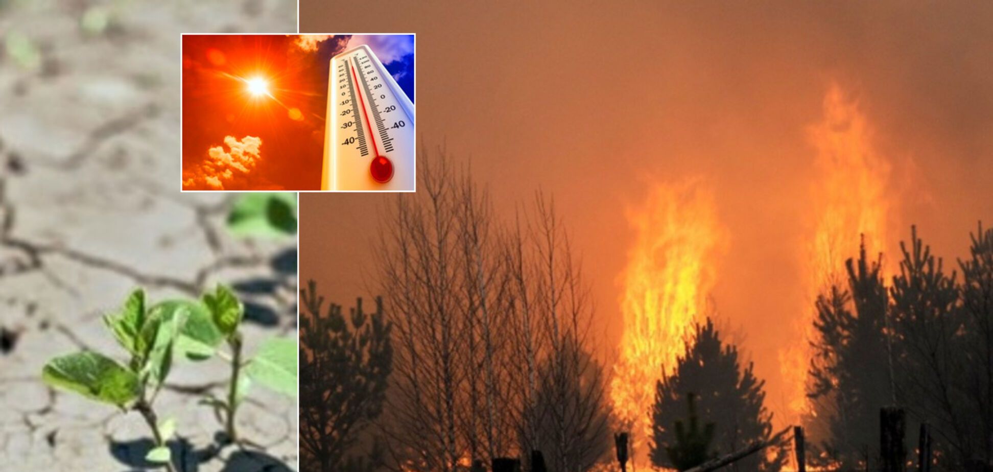 Україну чекають засухи і пожежі: метеорологиня дала тривожний прогноз