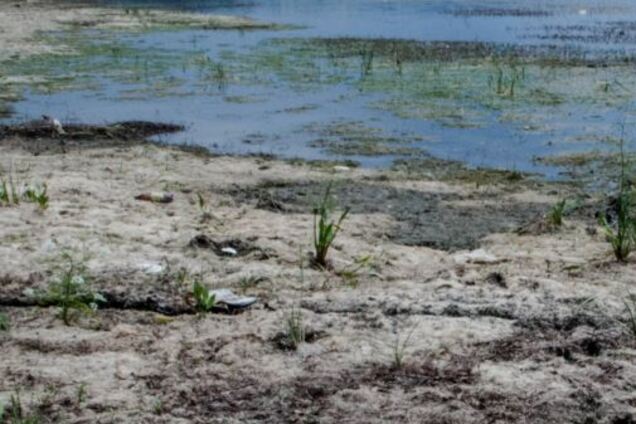 Обмеление рек в Украине