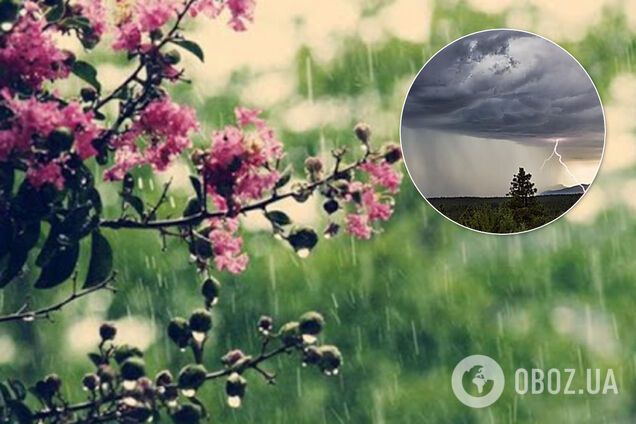 Украину зальет дождями с грозами: синоптик рассказала, где ухудшится погода