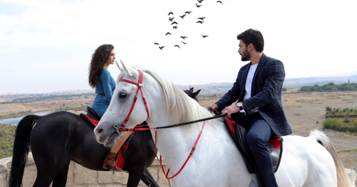 Вітер кохання сезон 1: де дивитися онлайн всі серії - 1+1 ...