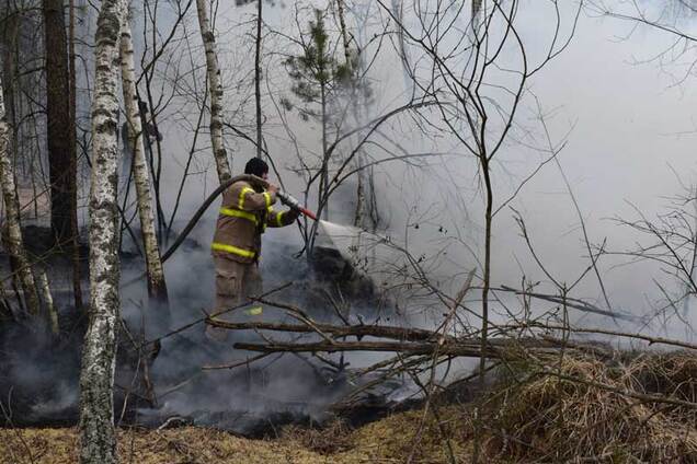 На Житомирщині розгорілися нові пожежі: підняли авіацію