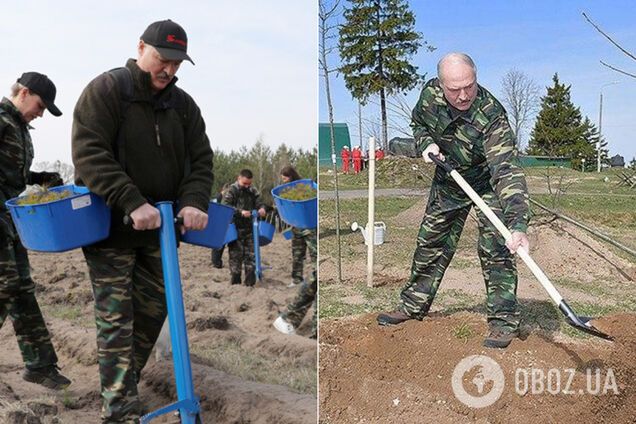 Действия Лукашенко в разгар пандемии COVID-19 озадачили сеть. Фото и видео