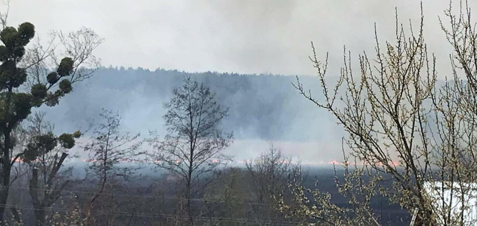 На Киевщине вспыхнул новый серьезный пожар: сгорело пять зданий. Видео
