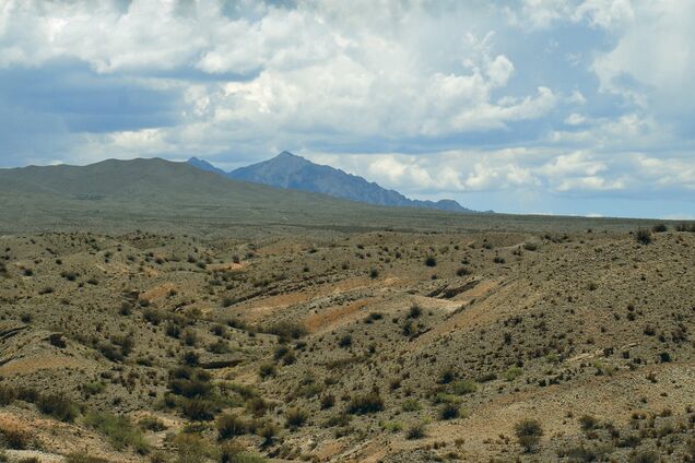 Три области Украины станут пустыней? Синоптик уточнил апокалиптический прогноз